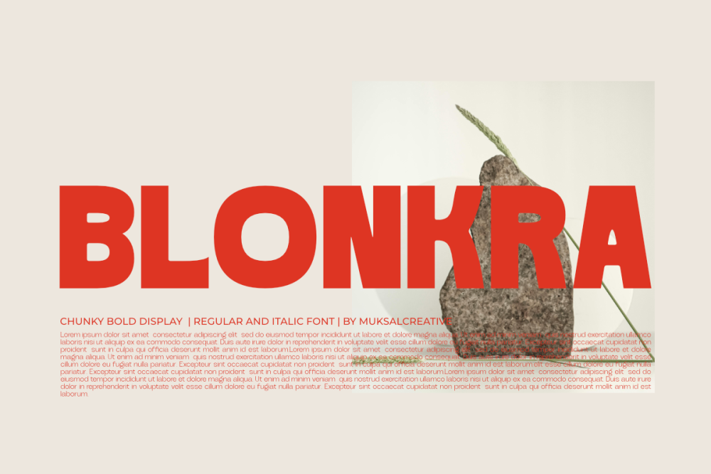 Blonkra – Chunky Bold Display Sans Font