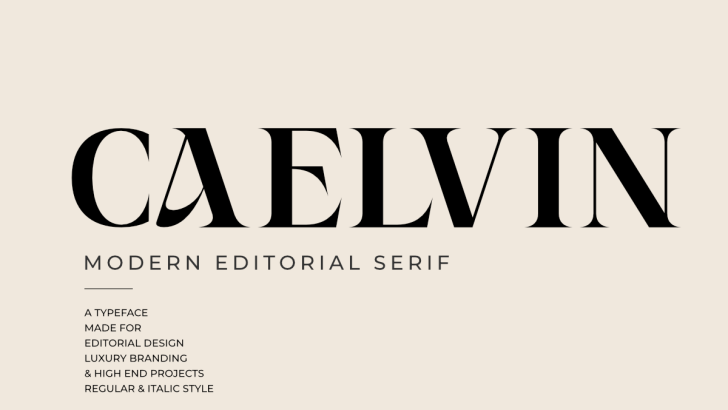modern serif fonts for branding and logo design